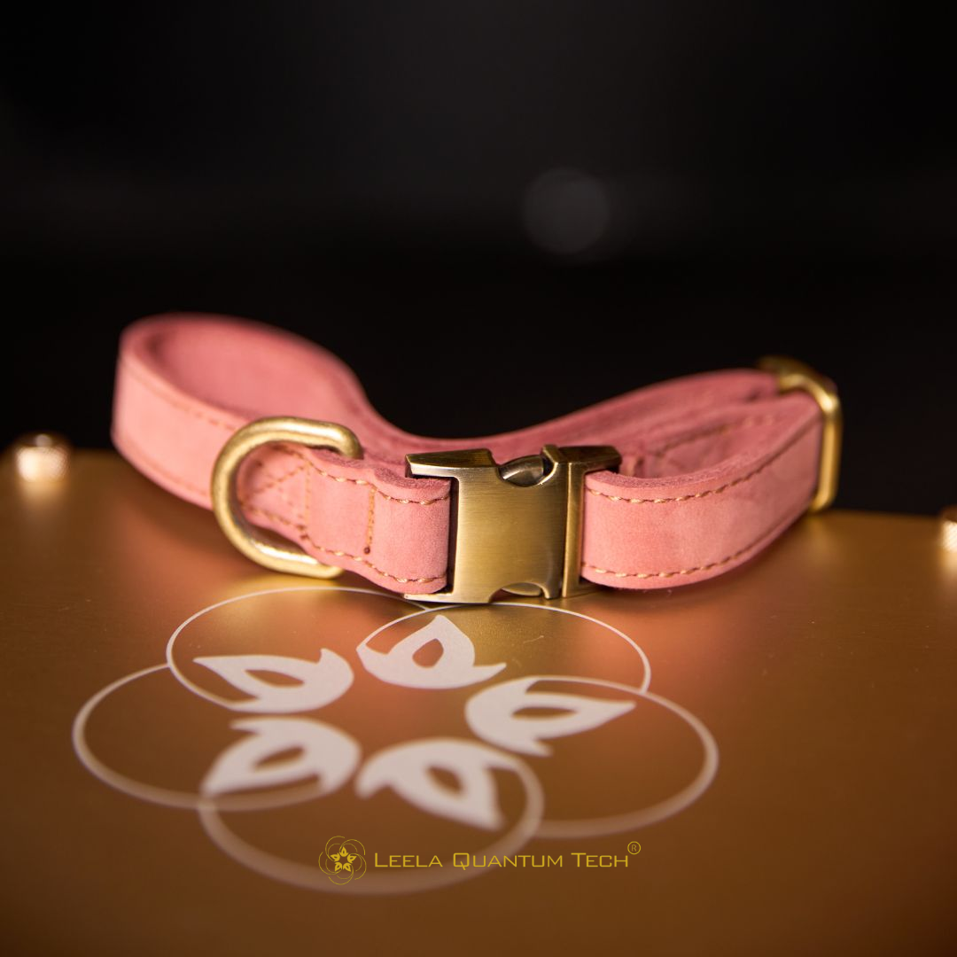 H.E.A.L.® Leather Collar for Dogs