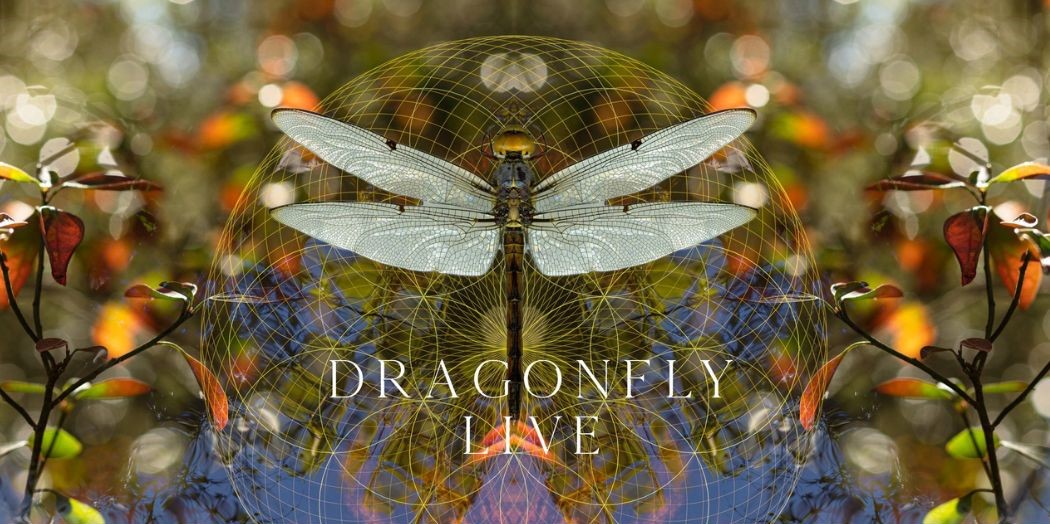 Dragonfly Live - Dragonfly Live