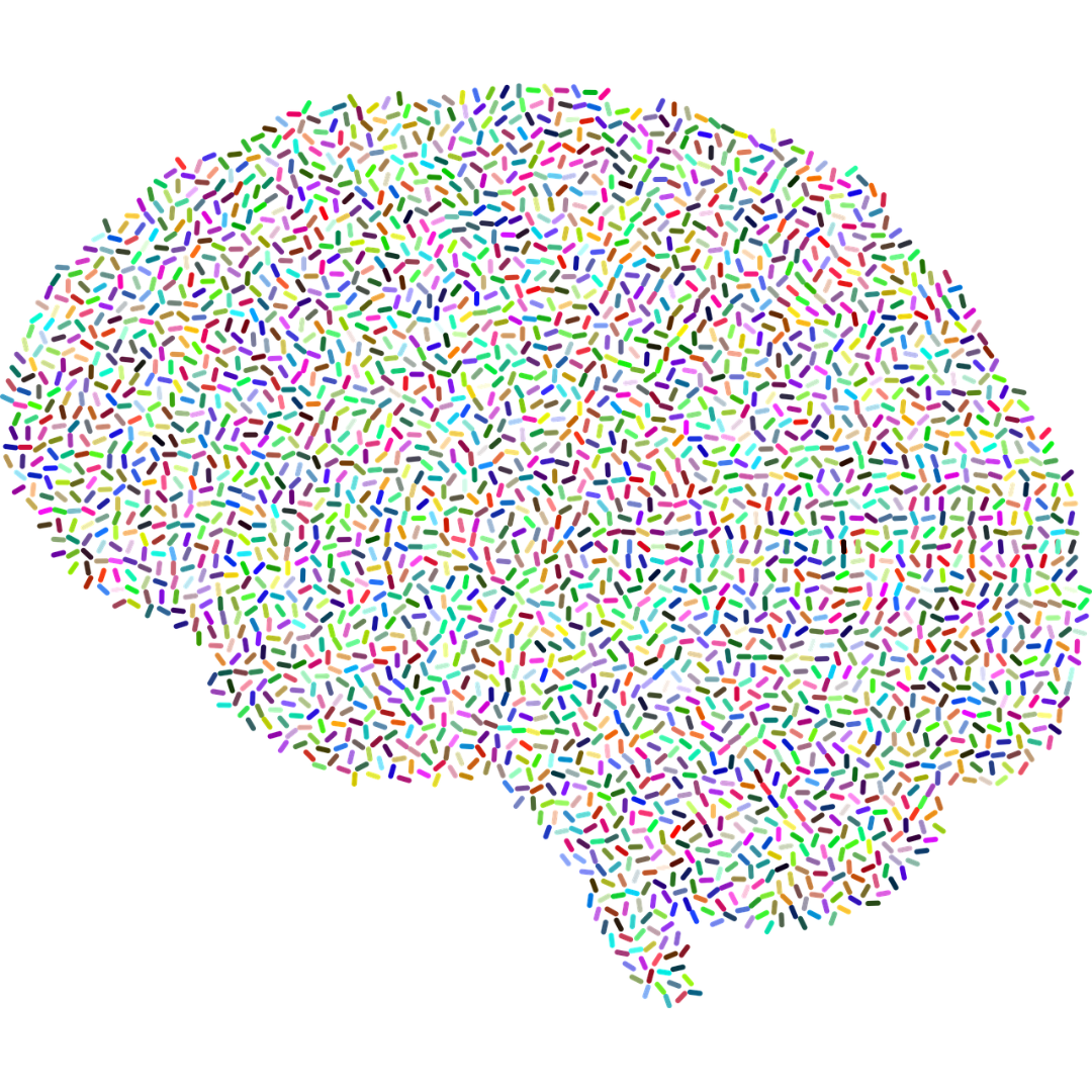colorful brain vector