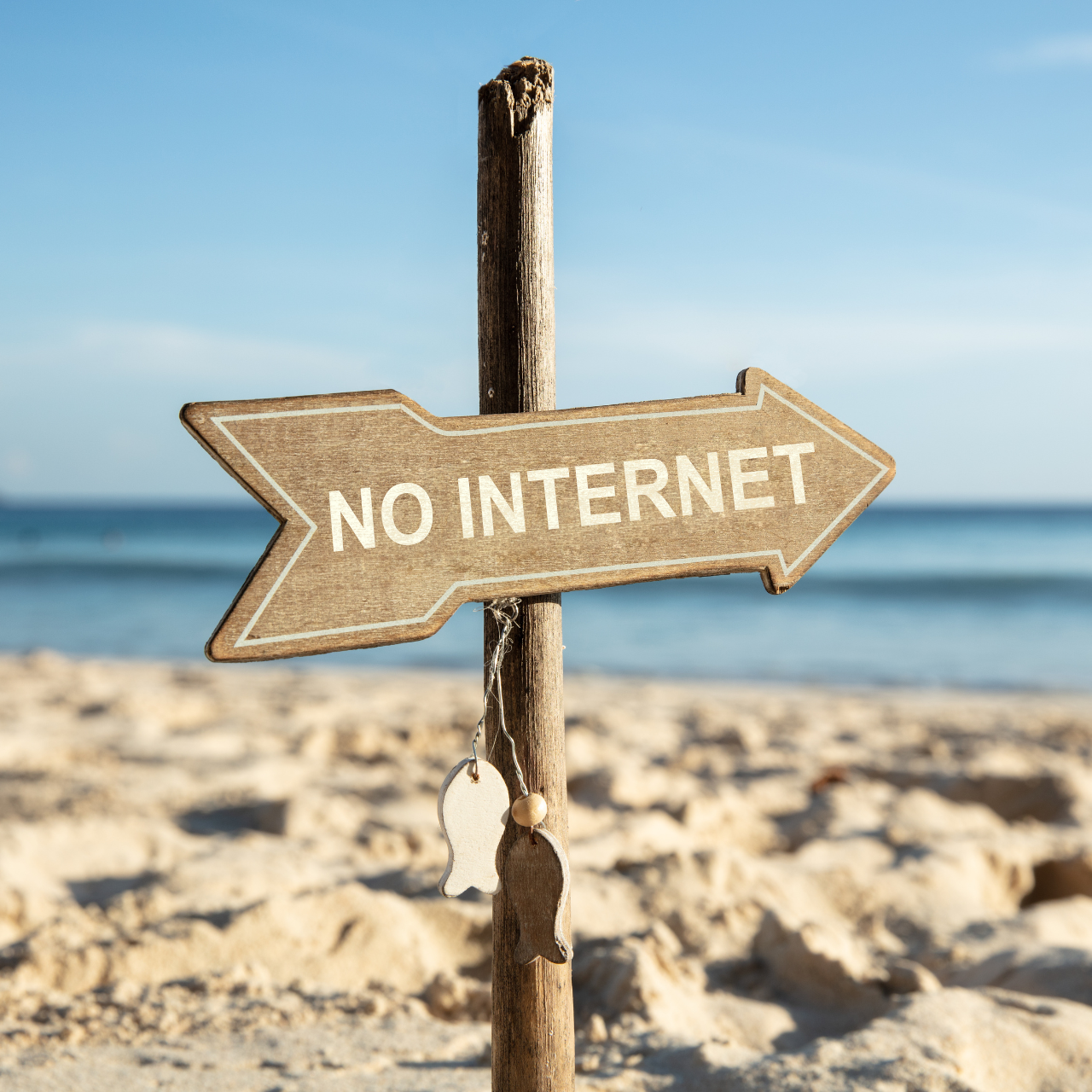 No Internet Wooden Directional Arrow Sign On Beach