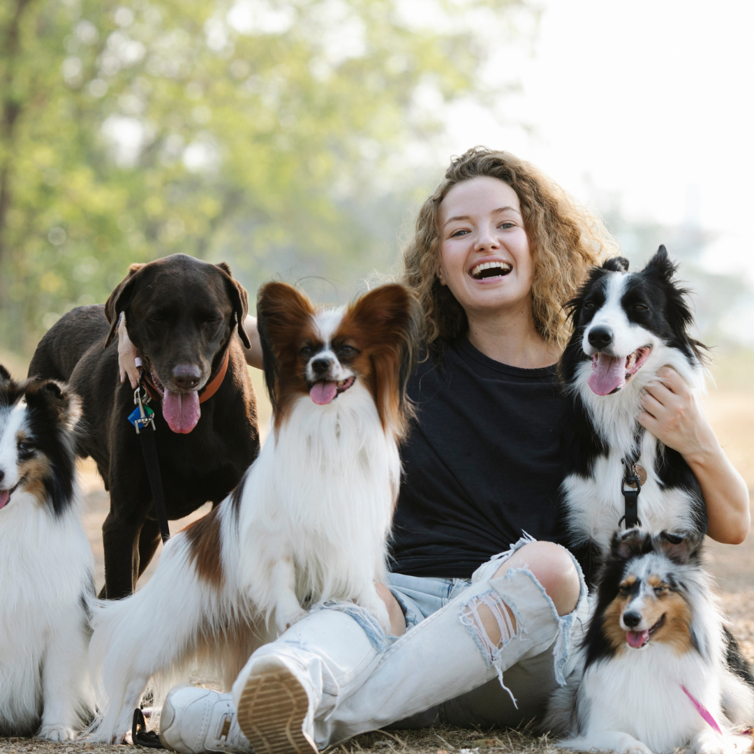 Optimistic female owner resting with dogs in nature