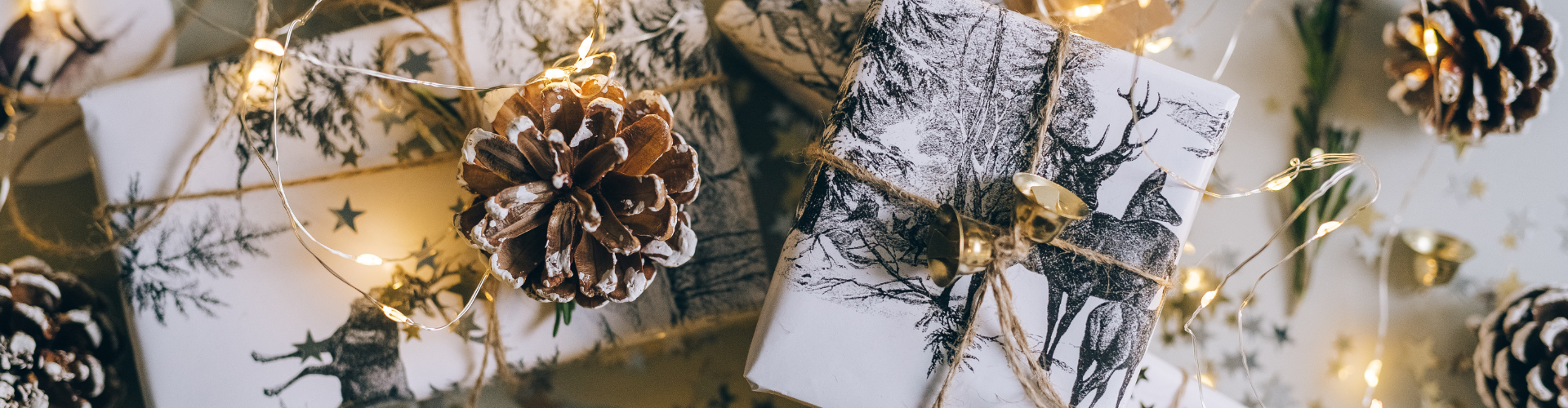 Photo of Pine Cones Near Gift Boxes