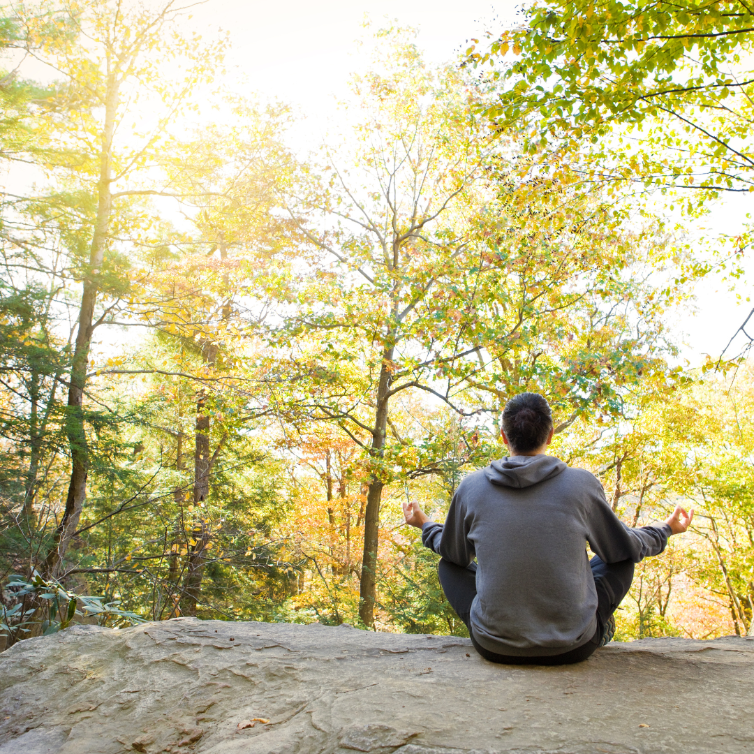 Man Meditating In Forest