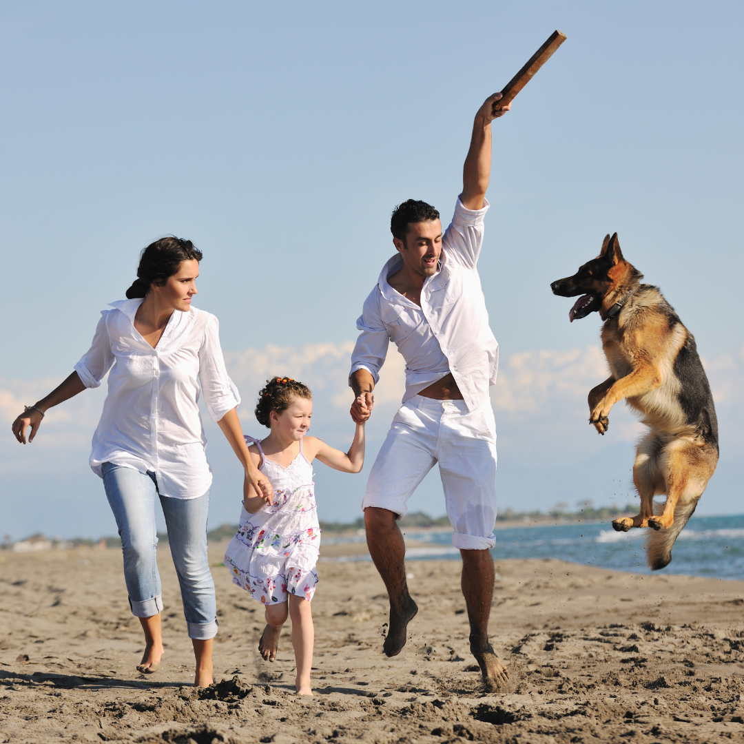 happy family playing with dog on beach