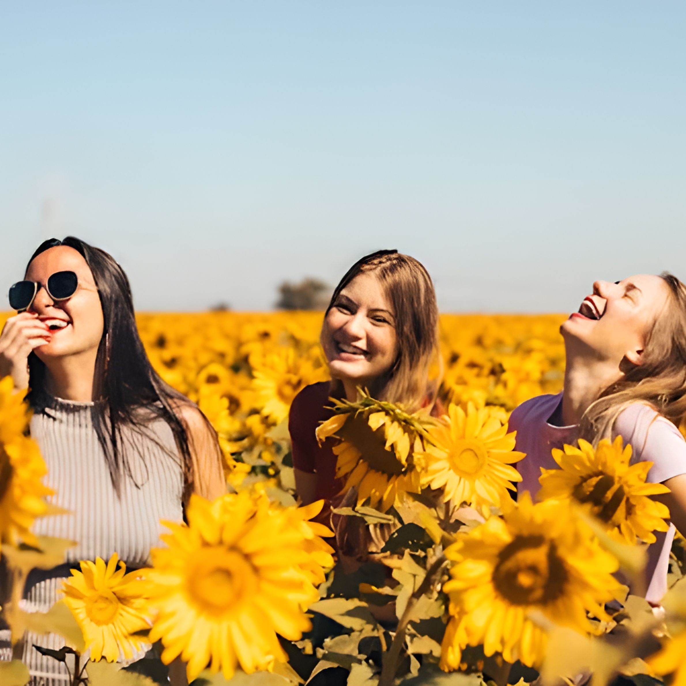 woman in white and black striped shirt standing on yellow sunflower field during daytime
