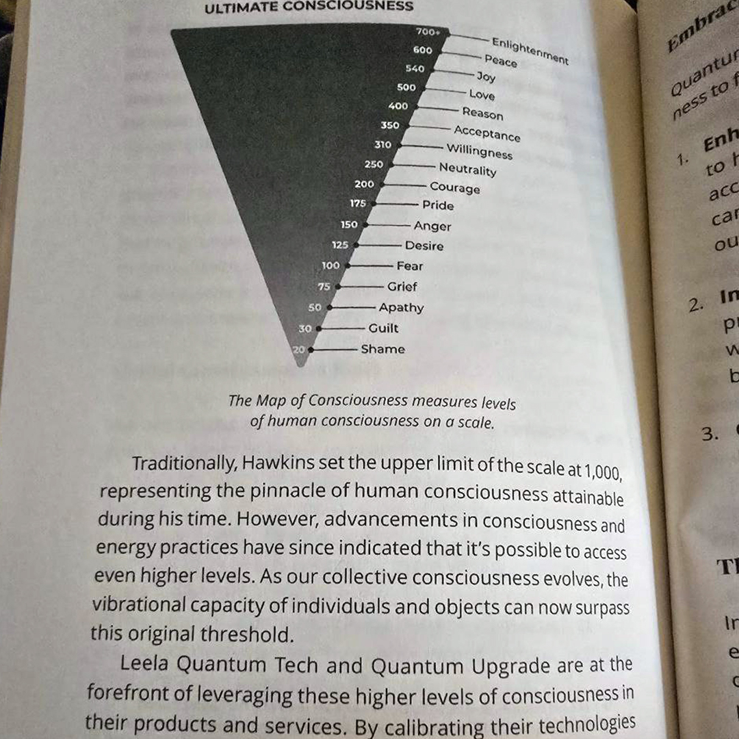 The Energy of Everything (Book) - Image 5