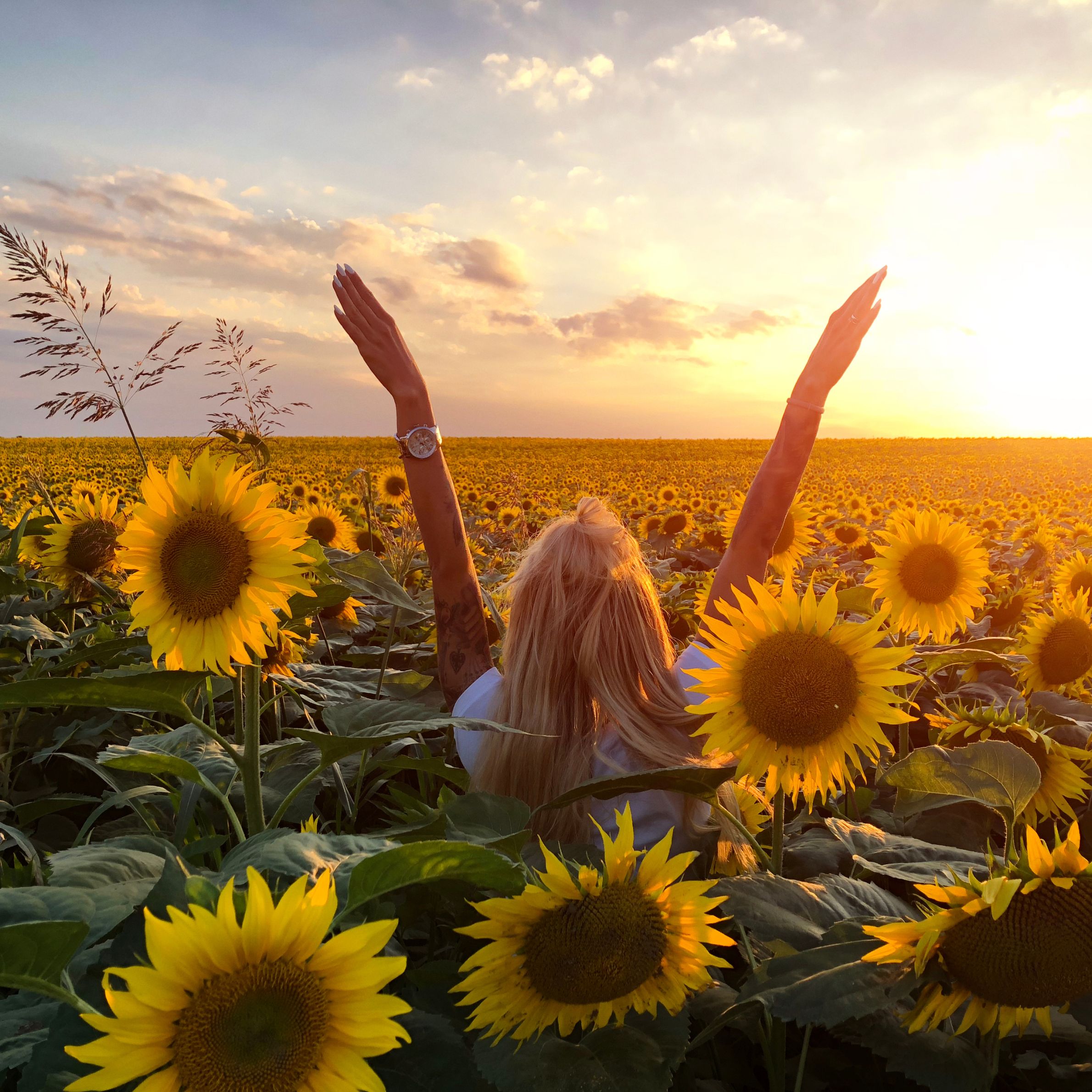 Woman in sunflowers field