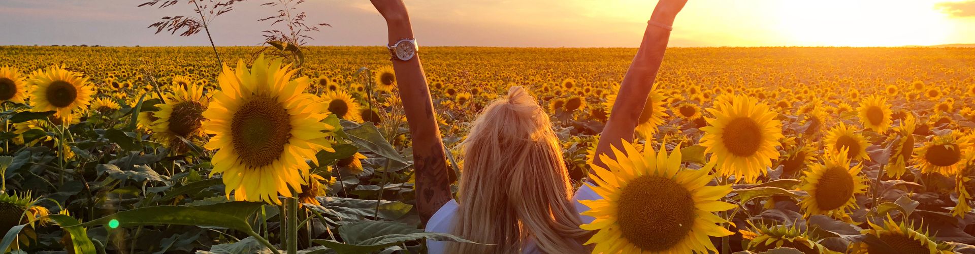 Woman in sunflowers field