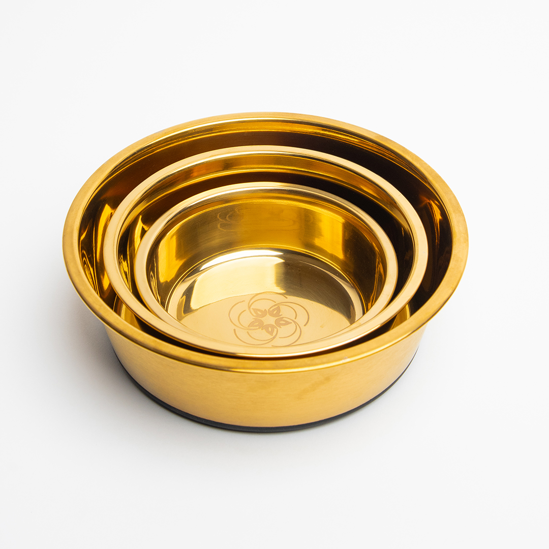 H.E.A.L.® Pet Bowl - Image 5