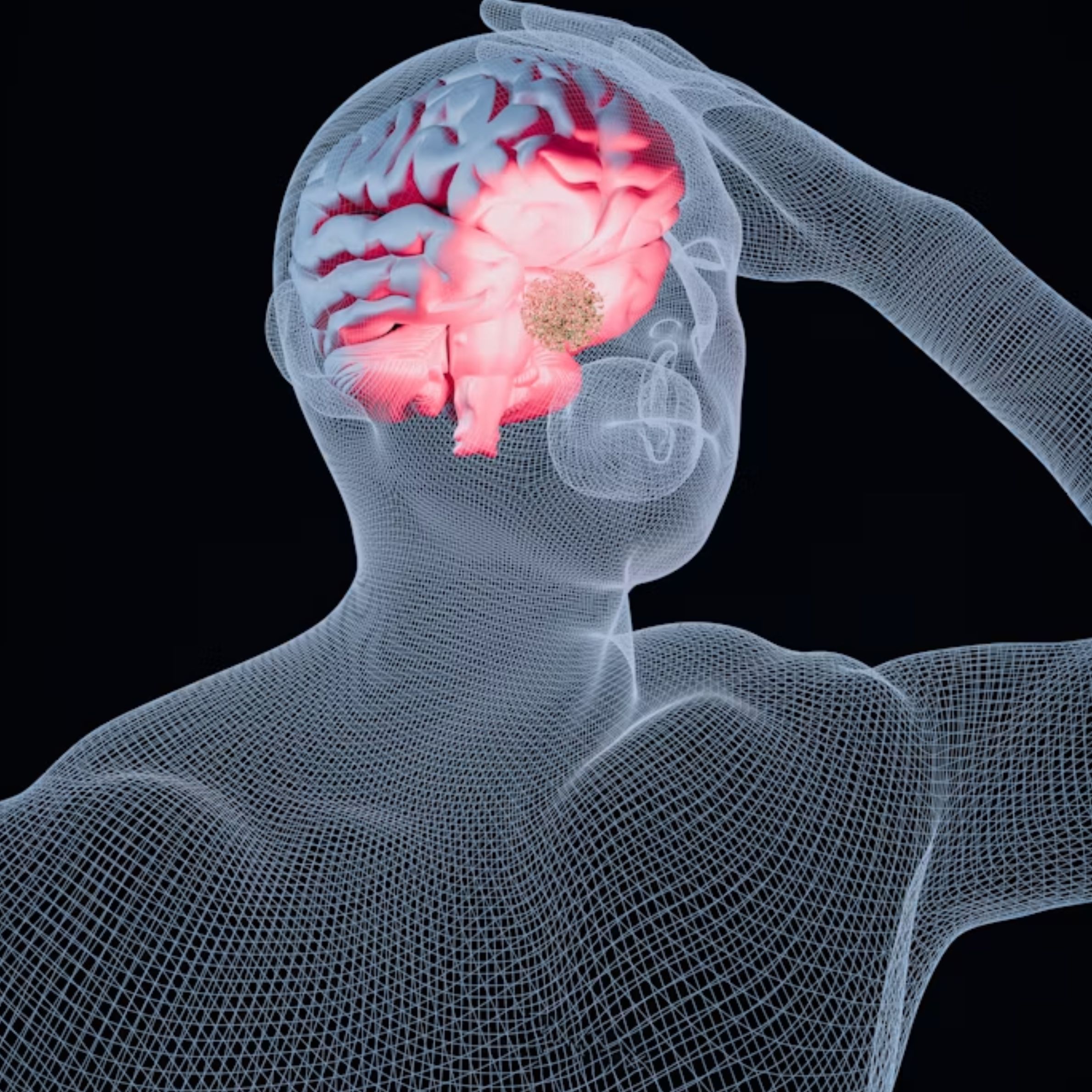 a 3d image of a person's head and brain